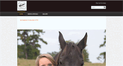 Desktop Screenshot of masonportraits.com